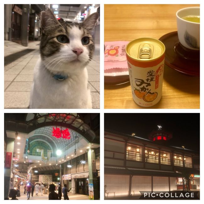 ◆タイトルでは乗り鉄となってますが・・・<br />今号でもまだ乗り鉄まで行ってません。◆<br /><br />じらしているわけではございません。<br /><br />地図を見ないでyahoo時刻表でスケジュール作成したので<br />ほぼ1周かと思いきや半周+α位です。<br /><br />昨年初めて四国に降り立ちました(愛媛)が・・・・<br />まだ・高松・徳島・高知と未踏が3県あります。<br />誕生日月に利用できるバースデイきっぷで四国制覇を目指します。<br /><br />※ 偉そうなタイトルを付けてますが・・・<br />一般の乗り鉄旅行記ほど詳しくはないことご了承願います。<br /><br />本当は行きと帰りで別々の空港利用が効率的にも良いのだけど<br />思い立ったのが遅く航空券が割高だったこともあり、楽天トラベルでのパッケージで予約しました。JALを選択しましたが、ANAの方が少し2.000円弱安かったです。<br />宿泊先はチェックイン松山☆奥道後温泉からの引湯と繁華街から近かったので(#^.^#)<br /><br />◆行程◆<br /><br />9/25(水)<br /><br />・羽田空港16:50 ⇒ 松山1空港18;15 JAL439便<br />・松山空港 ⇒ 松山駅 リムジンバスで移動してバースデーきっぷ購入<br />・松山駅 ⇒ 大街道 伊予鉄道市内電車 大街道泊<br /><br />9/26(木)<br /><br />・大街道 ⇒ 松山駅 早朝なのでタクシー利用<br />・松山6:13⇒高松8:44 いしづち6号 <br />・高松9:11⇒徳島10:18 うずしお7号 <br />・徳島12:01⇒阿波池田13:16剣山5号 <br />・阿波池田13:32⇒高知14:42 南風9号 G<br />・高知17:13⇒多度津18:56 南風24号 G<br />・多度津19;26⇒松山21:32 しおかぜ23号 G<br /><br />松山から右回りで周りましたが、左回りだともっと時間が遅くなります。<br /><br />Gはグリーン車の略です。<br /><br />ミッション<br /><br />・高松でさぬきうどん<br />・徳島で徳島ラーメン<br />・高知で龍馬像、高知城、ひろめ市場でカツオのたたき<br /><br />有効期限3日なのでもったいないので・・・<br /><br />9/27(金)<br /><br />・松山10:15⇒宇和島11:33 宇和海9号 <br />・宇和島12:55⇒松山14:14 宇和海16号<br />・松山 ⇒ 道後温泉 伊予鉄道市内電車<br />・道後温泉 ⇒ 松山空港 リムジンバス<br />・松山空港17:40 ⇒ 羽田空港19:05 JAL439便<br /><br />ミッション<br /><br />・ホビートレイン撮影<br />・宇和島城<br />・宇和島鯛めし<br />・道後温泉 飛鳥の湯 入浴 猫と遊ぶ<br /><br />鳴門の渦潮が見たかったが、行程的に無理でした。<br /><br />※バースデイきっぷとは<br /><br />JR四国全線(サンライズ瀬戸は不可)と土佐kぅろしお鉄道が3日間<br />乗り放題になる。<br />同行者も3名まで同じ料金で利用可<br /><br />普通車自由席用 9.500円<br />グリーン車用 13.000円(事前席指定必須)<br /><br />グリーン車用は伊予灘ものがたりなどの観光列車も利用可<br />