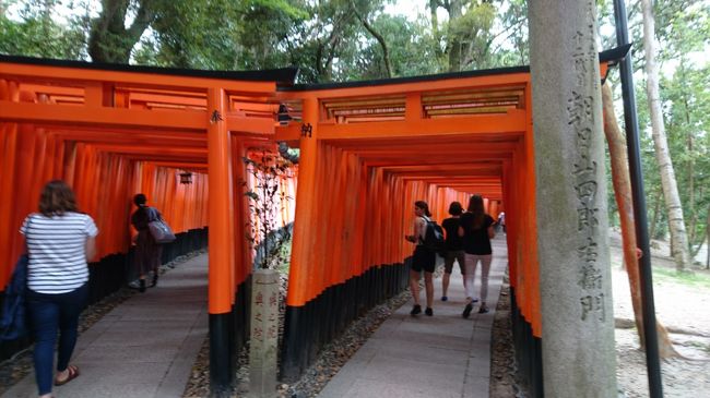 京都伏見に行ってきました。<br />今日の目的は、大好きな神社のひとつ伏見稲荷大社にお参りして稲荷山に登り、伏見の酒処までお散歩して美味しいお酒を頂く…<br />ではではスタートです！