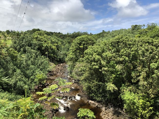 2019年9月 大人４人の詰め込みハワイ島旅 ③ZIPLINE