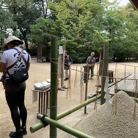 どこへ行っても麺が主食♪　京都・奈良の旅　１日目《蟹伝説とぴかぴかホルモン編》