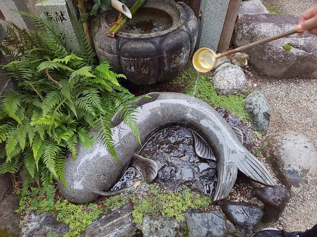 青山温泉に宿泊＆少し伊賀市観光。<br />表紙は大村神社の「願掛け水かけなまず」。