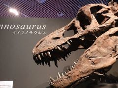 カムイサウルスに逢いに国立科学博物館に行ってみた！