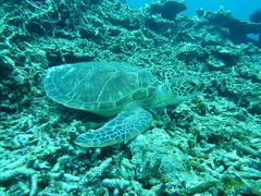 ただいま、下地島　2日目（八重干瀬スノーケル）