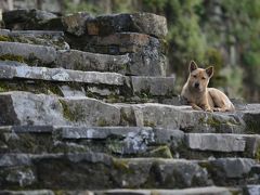 広西チワン族自治区賀州から珠海へ、気がつけばマカオと九&#20221;も（第４日目 梧州）