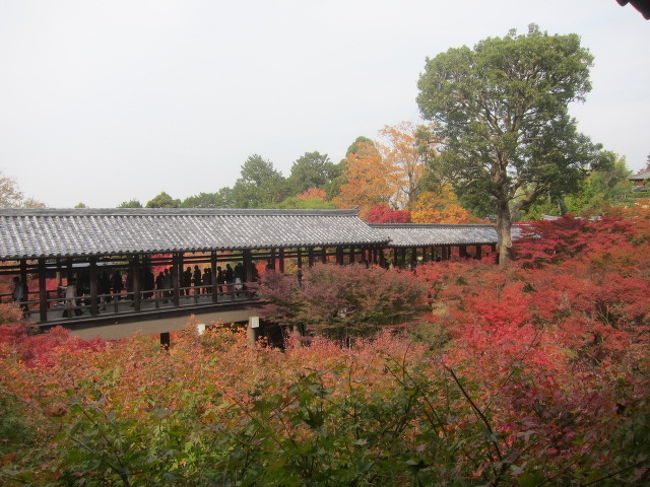 古刹、東福寺を見学。