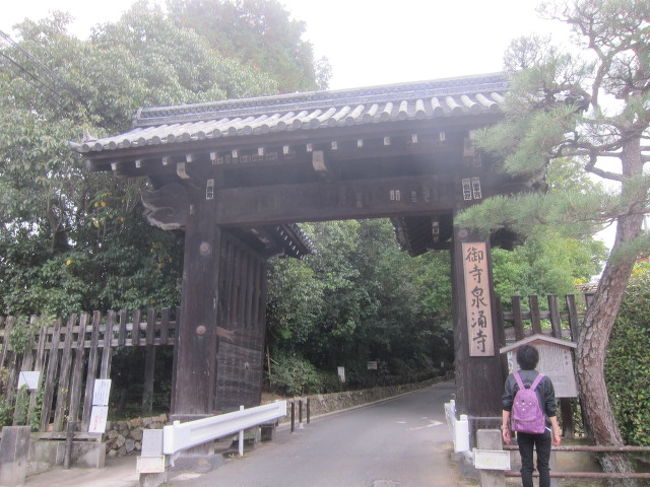 東福寺と清水寺が徒歩圏のスポットです。[御寺]と呼ばれ、天皇家との関わりが深いスポットです。
