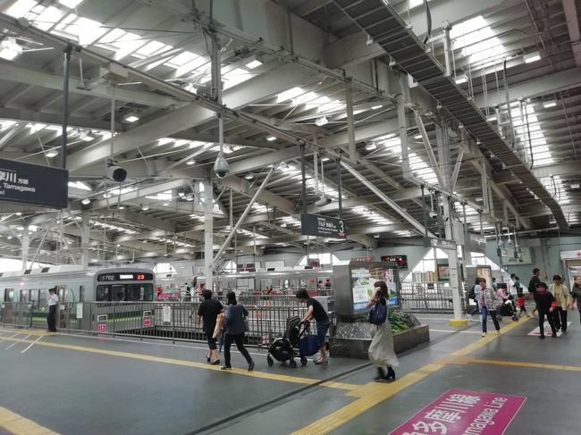 休日乗り放題きっぷと東急ワンデーオープンチケットを利用して東急に乗ってきましたので、その様子をご紹介したいと思います。