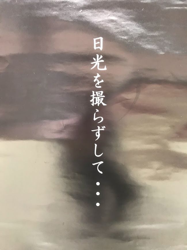 友人がイタリアに旅立ちました。<br />いいな、羨ましいなって思いが駆け巡っておりました。<br /><br />そんな金曜日の午後、仕事をしながら「あぁ日光でも行ってみようか」と思ったのです。<br />職場に栃木の方が居るので、今の時期は長袖?とか聞いて。<br /><br />最初はフッと思っただけの日光でしたが、だんだんと行く気になり。<br />帰宅して東武列車スペーシアの予約をして。<br /><br />土曜日に出掛けて来ました!<br /><br />日光を撮らずして。。