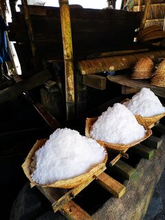 2019 09 パダンバイの遊び方