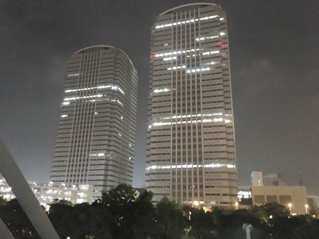 2018年6月、千葉県の幕張新都心に行ってきました。<br /><br />2月のさいたま新都心に続く、この年2か所目の新都心行きです。<br />幕張まで寄り道しながら向かったら、結構時間がかかりました。<br />ランチを食べる予定が、ディナーになりました。<br /><br />たぶん10年ぶりくらいの海浜幕張駅と、幕張新都心。<br />夜9時を過ぎても商業施設が開いていて助かりました。<br /><br />この年の後半も、水辺の街へ出かける予定が続きます。<br />残り半年は神奈川方面まで出かけて、東海道沿いへ。<br />