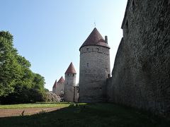 ラトビア・リガの森の民芸市とヘルシンキの旅 6