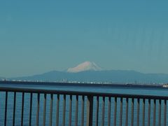 久々のコストコ、富士見大勝軒の昼