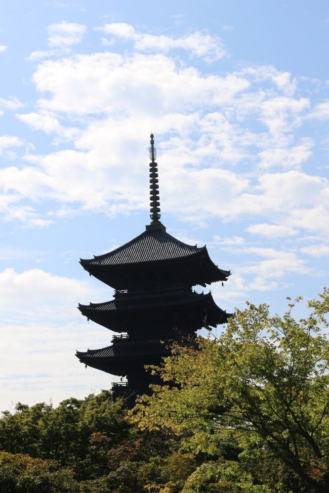 1泊2日で京都へ行きました。<br />1日目<br />8時頃京都駅着<br /> ↓<br />・東寺<br /> ↓<br /> (バス移動)<br /> ↓<br />・東福寺<br /> ↓<br />・泉湧寺<br /> ↓<br />・今熊野観音寺<br /> ↓<br />・戒光寺<br /> ↓<br />・即成院<br /> ↓<br /> (バス移動)<br /> ↓<br />・三十三間堂<br /> ↓<br /> (バス移動)<br /> ↓<br />・京都駅<br /> ↓<br />・スーパーホテル京都烏丸五条(宿泊)<br />前日まで曇り雨の予報でしたが、<br />晴れ雲りで32℃もあり真夏のように暑い日でした。<br /><br />表紙の写真は、東寺五重塔