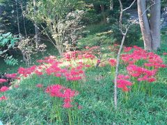 小石川後楽園