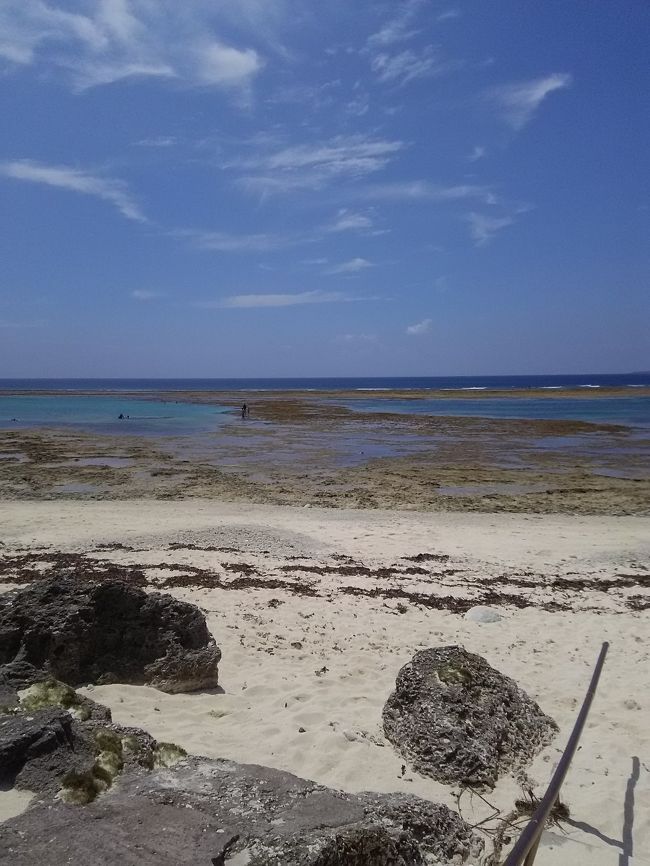 恒例の　石垣島　黒島<br /><br />今年は遅いの夏休み<br /><br />9/12　神戸空港（スカイマーク）　～　那覇空港　（ソラシド）　～　石垣空港　～　離島ターミナル（貨物船）　～　黒島<br />13・14　は　黒島<br />15　石垣島　ドライブ　夕刻　那覇（ソラシド）へ　　那覇泊<br />16　昼便（スカイマーク）　で　帰路