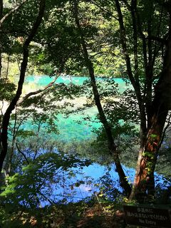 19年9月 裏磐梯レイクリゾートホテル 五色沼 裏磐梯 猫魔 福島県 の旅行記 ブログ By Sekaiさん フォートラベル