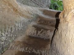 栄勝寺境内の隧道