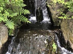 寒川神社へ 祈祷を受けた人のみ入場可能な神域の神嶽山素晴らしかった神苑