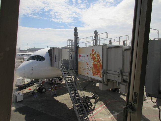 AIRBUS A350がJALさんが9月1日から東京(羽田)-福岡線 1日3便で就航が開始されて予約開始から週末便のFクラス(A・C /H・K席)を予約出来たのが9月の月末で仕事を調整をして やっと行って来れました AIRBUS A350に乗降するだけの つまらない旅行記で申し訳ございません<br />それと福岡県が初でして 時間も無く 何処へ行けば良いのかも分からず ホテルと博多駅の往復だけの旅でした<br /><br />余裕を持って自宅を出たのですが 予定通り羽田迄は30分で着いたのですが <br />土曜日で P1駐車場だけでなく全ての駐車場が 1時間以上の入庫待ちで羽田では時間の余裕がなく慌ただしく乗航になりました