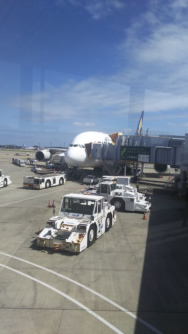 今年も行ってきましたシンガポール。今回も成田空港からシンガポール空港までのシンガポール航空の搭乗記です。<br />Ａ３８０－８００は久しぶりの搭乗でビジネスクラスは初めてです。<br />搭乗前の成田空港での飛行機ウオッチングもしています。<br />（写真は成田空港４６番スポットに駐機しているＡ３８０－８００です。ちなみに今回の写真は全部スマホで撮りました。）