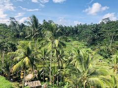 2019GW＊Bali旅行②＊ウブド観光～ライステラスやティルタウンプル寺院へ♪