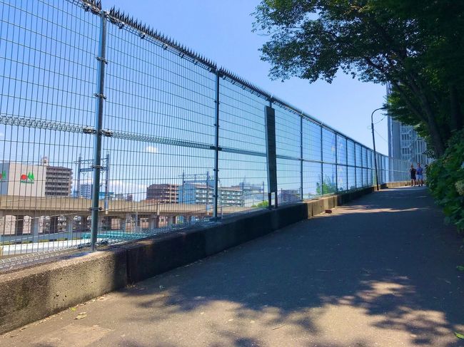ご覧いただきありがとうございます。<br /><br />~Find My Tokyo 2~ 「天気の子」聖地巡礼の後編です。<br /><br />今回は、物語の中心地・新宿の街を散策し、クライマックスのシーンに登場する「田端」駅へ向かいます。<br /><br />それでは、どうぞ~~<br /><br />前編はこちら↓<br />https://4travel.jp/travelogue/11541708<br /><br /><<< Special Thanks >>><br />映画:天気の子 公式サイト<br />https://www.tenkinoko.com<br /><br />東宝 Youtubeチャンネル(予報・CM)<br />https://www.youtube.com/user/OfficialTohoMovie<br /><br />※ 映画内のシーンの画像は、全てこちらより引用させていただきました。