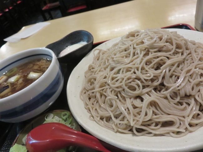 山下公園の近くのホテルに泊まったのでちかくにあるそば屋さんで食事をしました。古民家風の内装で梁がありました。普通盛りでも大盛で値段は一緒なので大盛を食べました。店員さんは感じがよくおいしくいただきました。