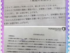 2019年「2人合わせて130歳　結婚37周年記念第2弾　たなしゃんさんご夫妻と行くHAWAII」　番外編　ハワイアン又戻りました！！