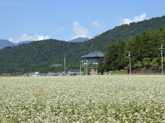 再び福井へ♪・・・秋の味覚・工芸品 ＆ そばの花畑を楽しむ旅①（準備＆丸岡城編）