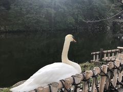 2019夏休み：北陸ツアー（１日目：彦根城）