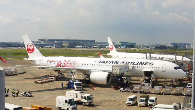 JALの新機材である、エアバスA350-900が、9月1日から羽田~福岡間に就航したので、機会を見つけて乗りたいとは思っていました。<br /><br />JAL A350-900公式サイト:https://www.jal.co.jp/dom/A350/index.html?m=dfs<br /><br />私は、なるべく安くなる運賃重視であり、いち早く乗ってみたい派ではない為、当初は、10月以降の先得運賃+ホテル探しで、休日に合わせた安い日程を探していたのですが、思った程安くならない為、JALのダイナミックパッケージ(飛行機+ホテル)で探した所、1ヶ月程先に出発である、9月29日(日)発が比較的安かった為、ダイナミックパッケージで行く事に決めました。<br /><br />また、今回は、タイムセール期間中に予約出来た為、福岡~羽田往復航空券(往路:クラスJ席、復路:普通席)+銀座グランドホテル シングルルーム+JALマイル 1,500マイル付きプランで、33,900円(往路普通席なら、31,900円)でした。<br /><br />飛行機は、勿論、往復ともA350-900運航便を選択しました。<br /><br /><br />今回の日程・行程は下記の通りです。<br /><br />9月29日(日)<br /><br />福岡 9:00ーJAL306(クラスJ席)ー羽田 10:35<br /><br />都内散策(汐留、国立競技場、新宿、銀座)<br /><br />銀座グランドホテル シングルルーム(14平米)泊<br /><br />ホテル公式サイト:http://www.ginzagrand.com/index.html<br /><br />※実際は、このシングルルームが建物内側部屋で景観が良くなかった為、フロントで追加代金を支払って、ダブルルーム(16平米)に変更して貰いました。<br /><br />9月30日(月)<br /><br />羽田 12:10-JAL317(普通席)-福岡 14:00<br /><br /><br /><br />『銀座グランドホテル』から羽田空港への移動と、空港内を散策した時の様子です。