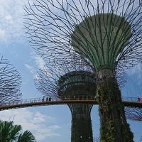 リゾート ワールド セントーサー フェスティブ ホテルに関する旅行記 ブログ フォートラベル Resorts World Sentosa Festive Hotel シンガポール リゾート ワールド セントーサー フェスティブ ホテルに関する旅行記 ブログ フォートラベル Resorts World Sentosa Festive Hotel シンガポール