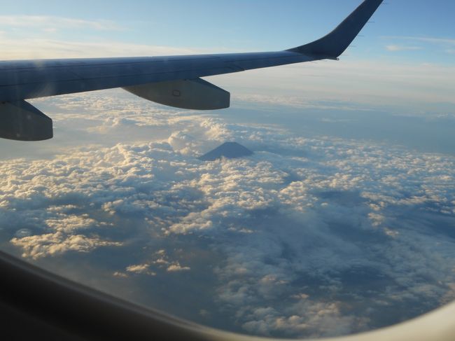 おともdeマイルを使い、久し振りに田辺へやって来た。<br />往路は、羽田空港へJR浜松町駅からモノレールを利用して、復路は、羽田空港から京急電車でJR品川駅経由の京浜東北線を利用した。<br /><br />南紀白浜空港から紀伊田辺に行き、空き家になっている妻の実家に宿泊した。空き家は、だれも使わないと直ぐに朽ちることから、近くに住む兄弟に月1で空き家の空気入れ替えをお願いしている。家が存在しないと、その土地の固定資産税が高くなるそうだ。<br /><br />田辺市では、東日本地震の津波が大きかったことから、また、近日中に起きると言われている中部地震が起こると、津波の被害に遭う危険性が高いことから、海岸にあった市役所や警察署などが高台に移転している。<br /><br />警察署は新しくビルを造り、既に移転が済んでいるが、市役所の移転場所が見つからず、広い駐車場と地震に強い建物として、既に紀伊田辺駅前の高台にあるホテルやスーパーマーケットが入っているビルを買い、リホームして新しい庁舎として使用することとしたようです。<br /><br />オーシティビルに入っていた紀伊田辺シティープラザホテルやレストラン、オークワ・スーパーマーケット等は9月で閉店し、リニューアルが始まるそうです。この旅、閉店すると言うレストランでフランス料理を食べてみました。