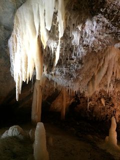 春爛漫のシドニー一人旅(4)　ブルーマウンテンズとジェノランケーブ