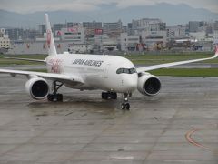 AIRBUS A350 搭乗 福岡・博多 旅行記④