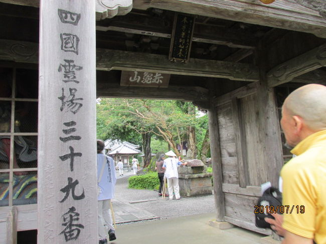 第三十九番札所延光寺は高知県の最西端、宿毛にある。宿毛は以前から連合艦隊の投錨地であり、戦艦大和が沖縄に向け出撃した時の国内最後の寄港地となった。以前、宇和島まで来た時、是非行ってみたいと思っていたが、行き方が分からず、結局予土線に乗って、中村まで出てしまった。いずれ何時かは宿毛の港へ行って、大和３０００有余名の将兵の霊を弔ってやりたいと思っている。<br /><br />ここ延光寺は港からは随分離れた里の中にあり、駐車場からお寺までの数百ｍの道路は、本当にお遍路道のような長閑さで、落ち着いた日本家屋の広い庭先には、夏の花が奇麗に咲いている。歩き遍路の人々も、こうした庭先の草花を眺め、疲れを癒されたことだろう。今は廃道になっているような昔の遍路道が夏草に覆われ、林の向こうに消えている。車の無かった戦前から江戸時代、あぜ道のような、人が二人して並んで歩けないような細い一本道、人口希薄なこの辺りを歩くのは実に心細かったことだろう。金剛福寺を中にして、岩本寺からここまでの行程は一番長く、人里離れていて、正に修行の道場の中でも、最後の修業の場だったに違いない。<br /><br />今は便利になってバスで各寺を回り、駐車場からここまでは僅か３００ｍを歩くほどだが、このお寺までに並んでいる数軒の民家は、江戸時代の昔から、ここにこうしてあったのだろう。庭先の手入れされた花壇は、その頃から代々嫁に引き継がれてきたものに違いない。古びた山門を潜り、お寺に入る。山門には薬師如来赤亀山の額がかかっている。この寺の御本尊は薬師様で、ここも又聖武天皇の勅願により行基が開創したとの寺伝である。それは神亀年間のことで、その時行基は薬師如来を彫ったと伝えられている。山号の赤亀山は、それよりも大分時代が下がった平安時代の延喜年間、池で飼っていた亀がいなくなって、後、小さな梵鐘を背負って竜宮城から戻ったとの言い伝えから来ているとのこと。本堂、大師堂にそれぞれお参りする。<br /><br />