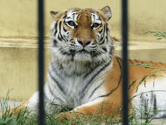 北海道・東北動物園めぐり⑤【釧路市動物園】