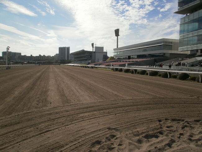 ２０１９年９月２９日、大井競馬場で行われたＴＣＫお客様感謝デーに出掛けてきました。<br />前回の予告通り、その時の原稿を書きます。<br />守れる約束は守ります。<br />守れない時は平気で破りますが。<br />来年の開催まで間があるという妙な時期ですが、私らしいとも思います。<br />私にとっては２０１３年から７年続けての「大井のファン感」参戦です。<br />書く内容の性質上、個人名、専門用語など余り使いたくない言葉も出します。<br />競馬、とりわけ地方競馬に興味がない方には意味がない原稿です。<br />逆にファンの方には、少し怒りを買うかも…と怯えもしますが。<br />マイナーなオッサンのマイナーなブログなので大目に見てもらえれば、と思ってもいます。<br />このイベントは調教師、騎手、厩務員の方など人とのふれあいが中心です。<br />競馬場である説明するために、レース開催日の馬の写真も載せます。<br />その辺もご理解下さると幸いです。<br />表紙は普段入れない本馬場コースの上からスタンドを撮った風景です。