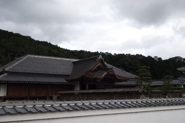 丹波といえば，丹波篠山（４月に篠山市から丹波篠山市になりました）が有名ですが，その隣にある丹波市もなかなかよい町でした！