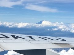 マカオ1日目 チキンライスに大満足