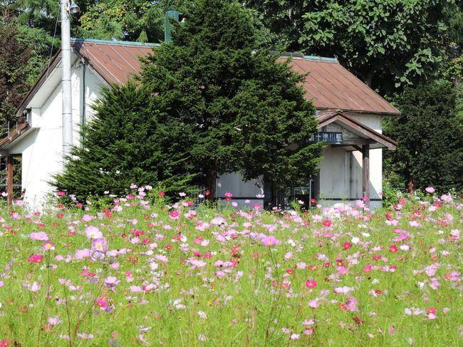 石狩川右岸を走るローカル線・札沼線の旅です。北海道医療大学駅から新十津川駅の間が、2020年5月6日までの運行で、廃止の予定となっています。<br />駅舎のある駅を訪ねました。