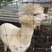 たまには、車で遠出の、秋の週末。動物たちに癒された～♪