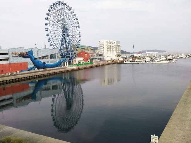 本日は夏の陽射しも強くなかったので家から約３ｋｍにあるマリノアシティのアウトレットモールに歩いてショッピングとランチで訪れる事にしました。行く途中にあるショッピングセンターのマリナタウンでもショッピングをして帰りました。<br />マリノアシティは誕生祭セール開催中でとてもディスカウントな価格で各店がセールを実施していました。<br />期間は10/14迄なのであと１週間あるので是非、訪れて見て下さい。台風がまたまた心配ですが…<br />ランチはよく行くイタリアンレストラン・イルフォルノで美味しい料理に少しだけ飲酒しました。(いつもの様にですが)