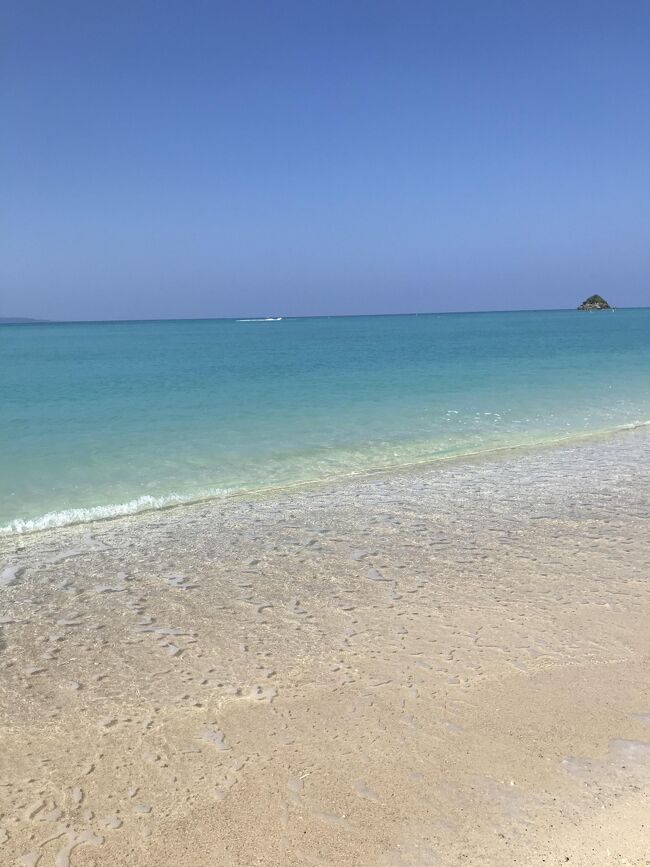 今年4月へ行ったオクマ。<br />とても気に入りまた行きたいと思いいろいろ計画しましたが、夏休み真っ只中は休みが取れず、取れても飛行機が思うように取れず、10月に入ってからになってしまいましたが、またまたオクマへ行ってきました。<br /><br />飛行機はJAL、往路は特典航空券でクラスJ、復路はeJALポイント利用でファーストクラス、宿泊は全泊オクマプライベートビーチ&リゾート、レンタカーはオリックスの株主優待で50%オフで借りることができました。