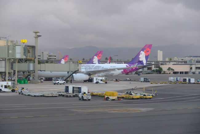 ホノルル空港で夜明かししたのち、早朝6時過ぎの成田行きに乗り、無事、ホノルルを離れたのでした。<br /><br />□8月31日(土) 成田からホノルルへ。夜はフラダンスを見る。<br />□9月1日(日) ジョギング、アラモアナセンター、ワイキキ散策<br />□9月2日(月) ジョギング、イオラニ宮殿、カメハメハ大王<br />□9月3日(火) ジョギング、パールハーバー、韓国焼肉<br />□9月4日(水) レンタカーでダイヤモンドヘッド、カイルア、ノースショア、タンタラスの丘<br />□9月5日(木) ハナウマ湾、マカプウポイント、モアナルアガーデン、レンタカー返却<br />□9月6日(金) ダウンタウン、出雲大社、アロハタワー<br />□9月7日(土) ワイキキ散策、ホノルル空港から帰国のハズが・・・<br />■9月8日(日) 予定より15時間遅れで帰国の途。<br />□9月9日(月) 成田空港に着くが・・・<br />□9月10日(火) ようやく家に帰れた。