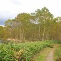 紅葉を先取り！「応徳温泉  お宿花まめ」&野反湖散策でリフレッシュの旅～