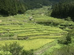 初 浜松女子旅2019