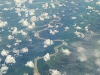 いよいよパンタナールとお別れです。帰国編