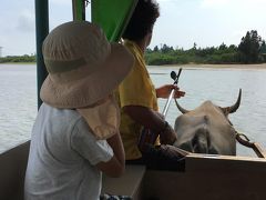 夏旅２　由布島でまったり水牛とお散歩