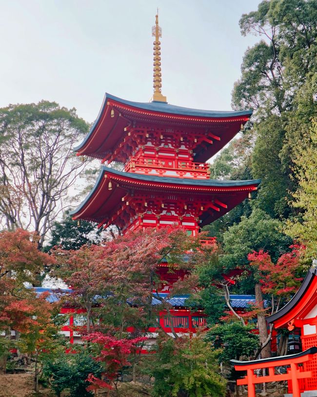 2018年秋,神戸須磨で,須磨寺と須磨離宮公園を訪れ,紅葉とバラを見て,秋を楽しんだ。